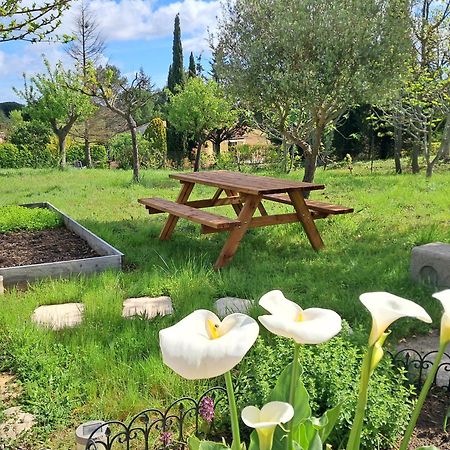 My Quiet Place Near Carcassonne Exteriör bild